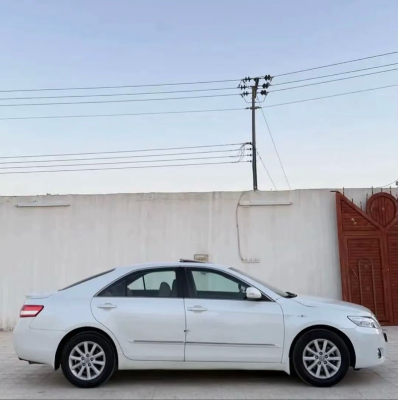 جنوط كروم الوكالة