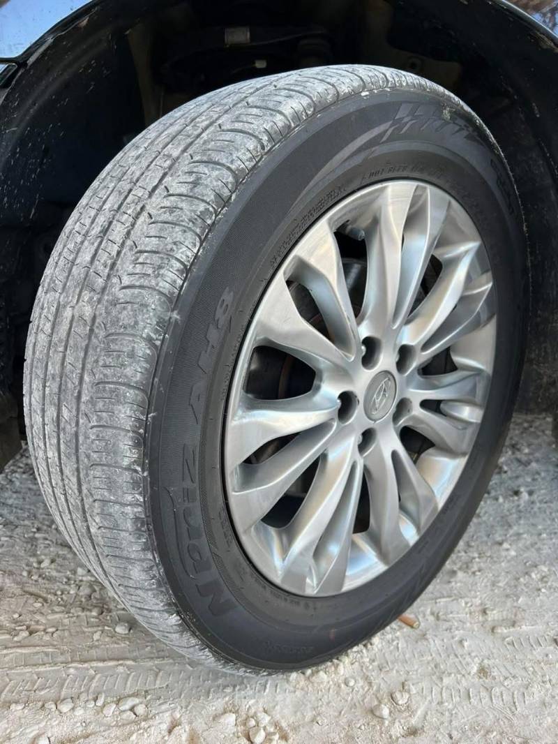 جنوط